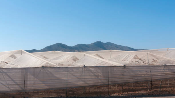 قیمت توری سایبان سفید با کیفیت ارزان + خرید عمده